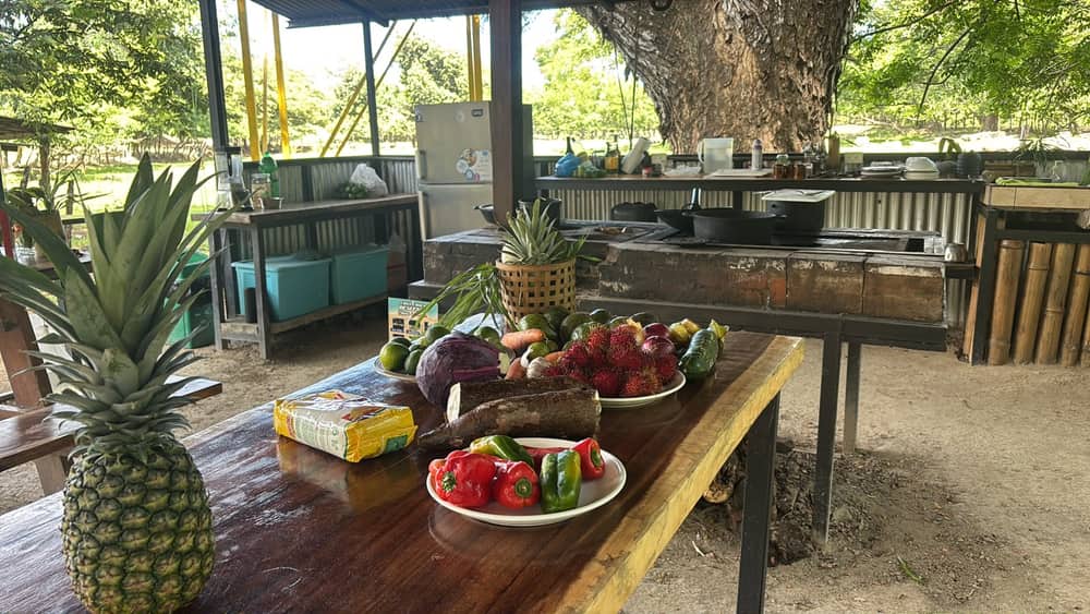 Cosecha fresca de la huerta orgánica